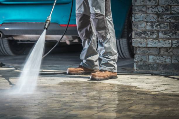Professional  Pressure Washing Services in Orlinda, TN