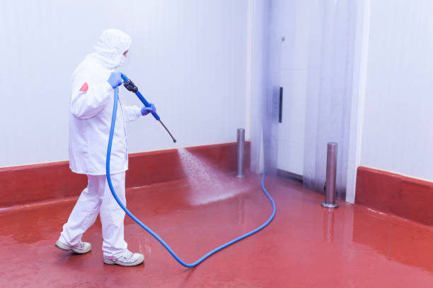 Best Pool Deck Cleaning  in Orlinda, TN