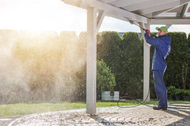 Best Dumpster Area Cleaning  in Orlinda, TN