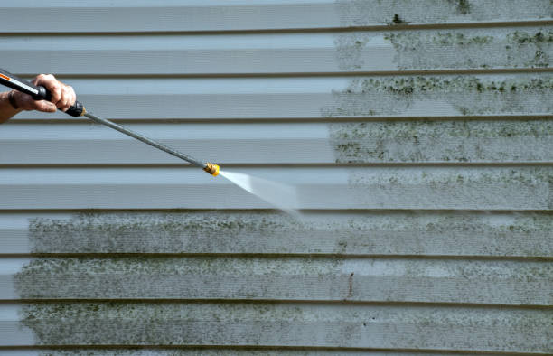 Best Spring Cleaning  in Orlinda, TN