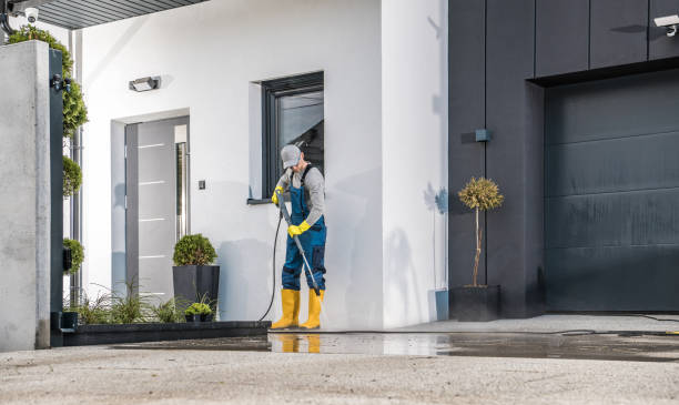 Best Sidewalk and Walkway Cleaning  in Orlinda, TN